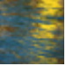 BetterPhoto Member