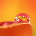 BetterPhoto Member