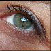 BetterPhoto Member