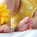 BetterPhoto Member