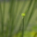 BetterPhoto Member