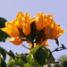 BetterPhoto Member
