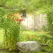 BetterPhoto Member