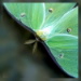 BetterPhoto Member
