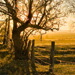 BetterPhoto Member