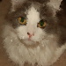 BetterPhoto Member