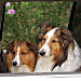 BetterPhoto Member