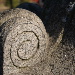 BetterPhoto Member
