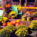BetterPhoto Member