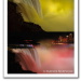 BetterPhoto Member