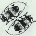BetterPhoto Member