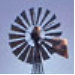BetterPhoto Member