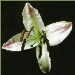 BetterPhoto Member