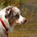 BetterPhoto Member