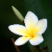 BetterPhoto Member