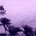BetterPhoto Member