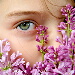 BetterPhoto Member