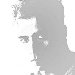 BetterPhoto Member