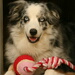 BetterPhoto Member