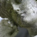 BetterPhoto Member