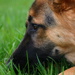 BetterPhoto Member