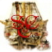 BetterPhoto Member