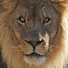 BetterPhoto Member