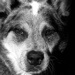 BetterPhoto Member