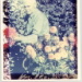 BetterPhoto Member