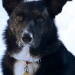 BetterPhoto Member