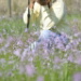 BetterPhoto Member