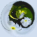 BetterPhoto Member