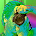 BetterPhoto Member