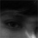 BetterPhoto Member