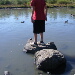 BetterPhoto Member