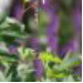 BetterPhoto Member