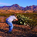 BetterPhoto Member