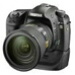 BetterPhoto Member