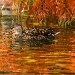 BetterPhoto Member Since: 8/21/2008
