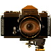BetterPhoto Member