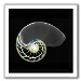 BetterPhoto Member