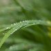BetterPhoto Member
