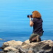BetterPhoto Member