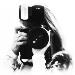 BetterPhoto Member