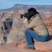 BetterPhoto Member