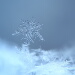 BetterPhoto Member