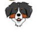 BetterPhoto Member