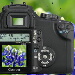 BetterPhoto Member