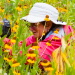 BetterPhoto Member