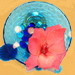 BetterPhoto Member